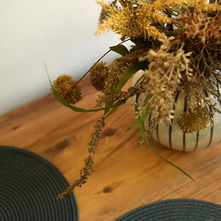 Victoria's Corfu Appartement Lefkimi